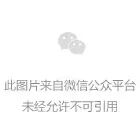 微信图片_20241021081700